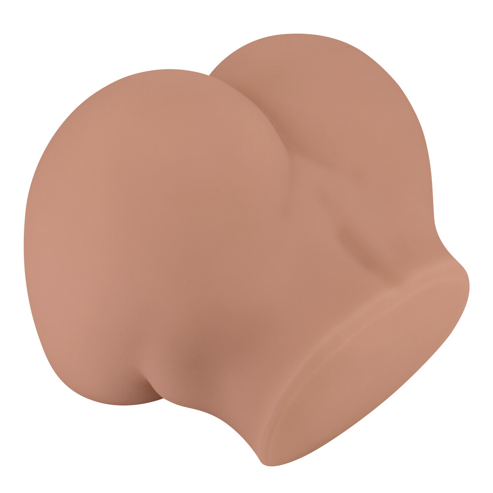 Vagina Artificiale Bernace - immagine 9